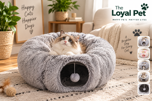 Peekaboo Cat Cave plush 2-in-1 tunnel bed with cat relaxing indoors