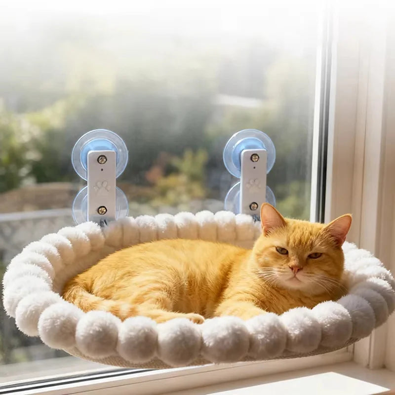Orange cat sleeping in a round suction cup window hammock