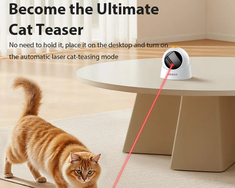 Cat chasing the automatic laser toy during indoor play