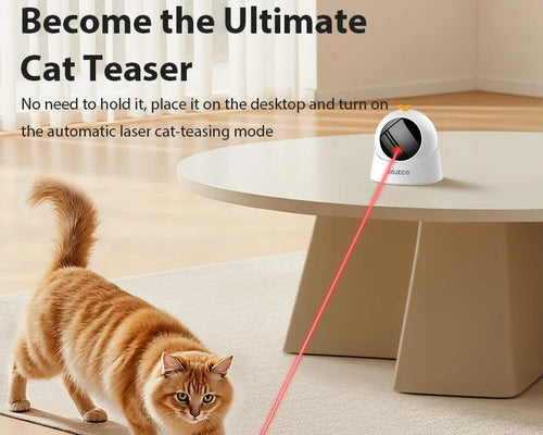 Cat chasing the automatic laser toy during indoor play