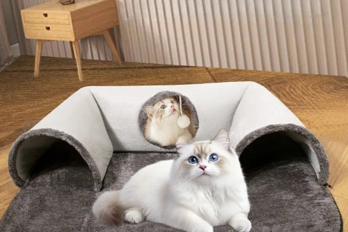 Grey U-shaped cat tunnel bed with cat resting on play mat