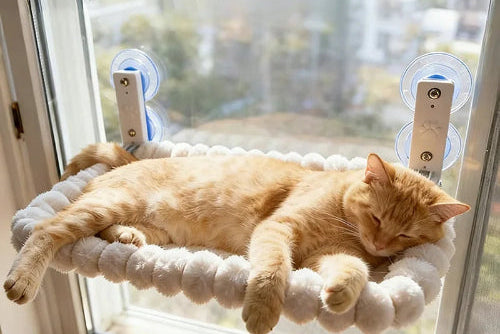Cat window hammock with suction cups and orange cat resting by the window
