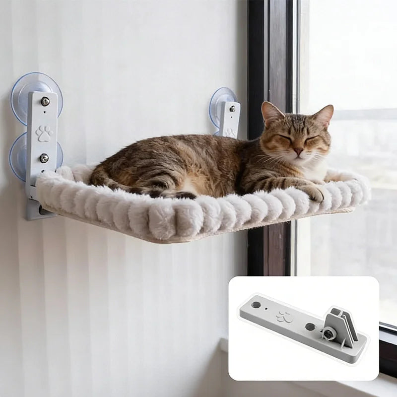 Cat resting on a square window hammock attached with suction cups