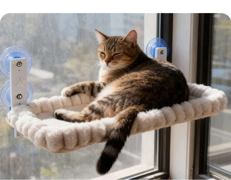 Cat lying on an elevated window hammock for indoor cats