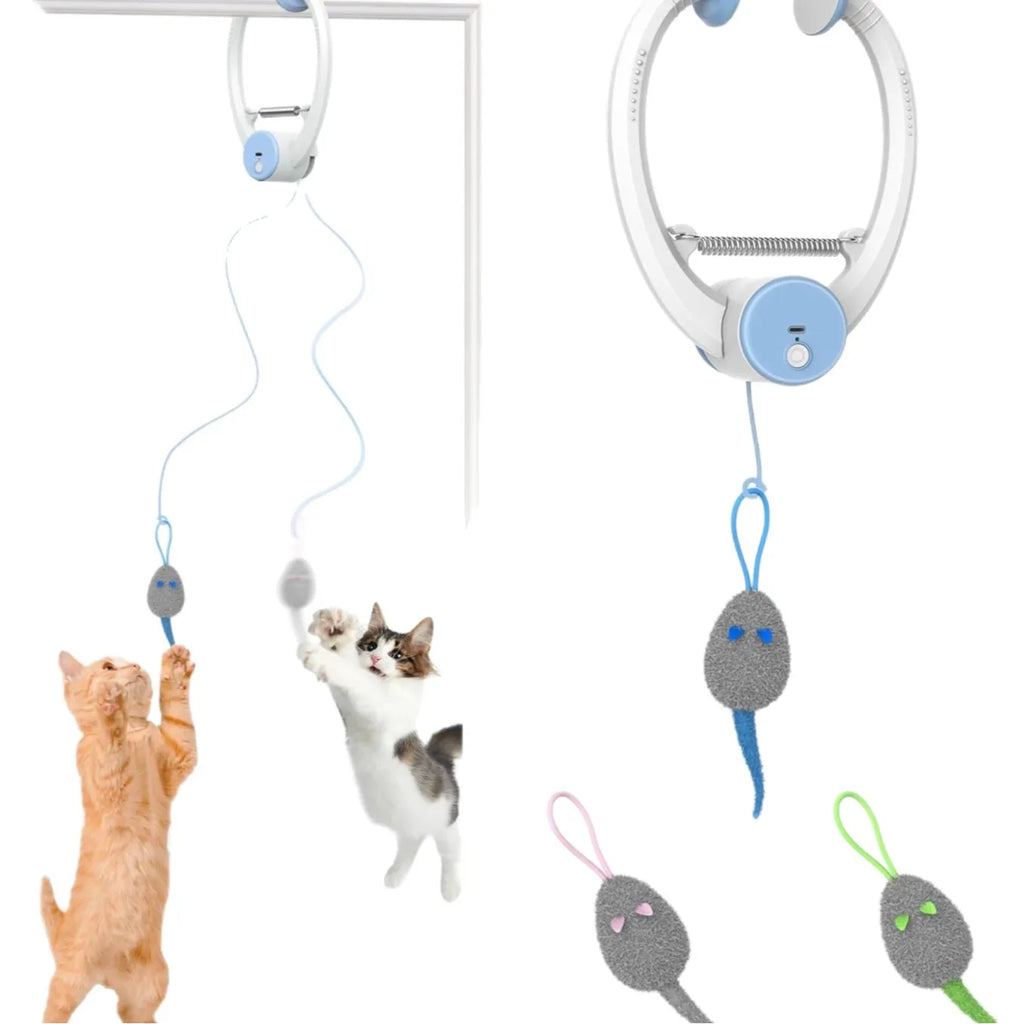 Indoor cats playing with automatic interactive feather toy